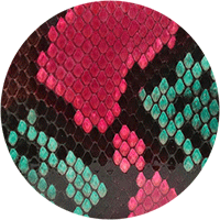 スペシャルシリーズ