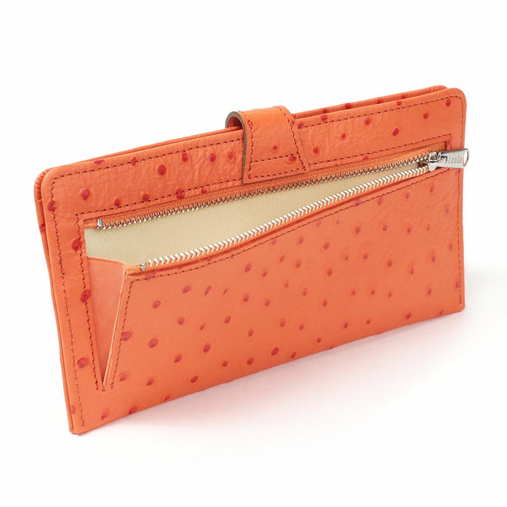 オースト_マヨルカ_背面