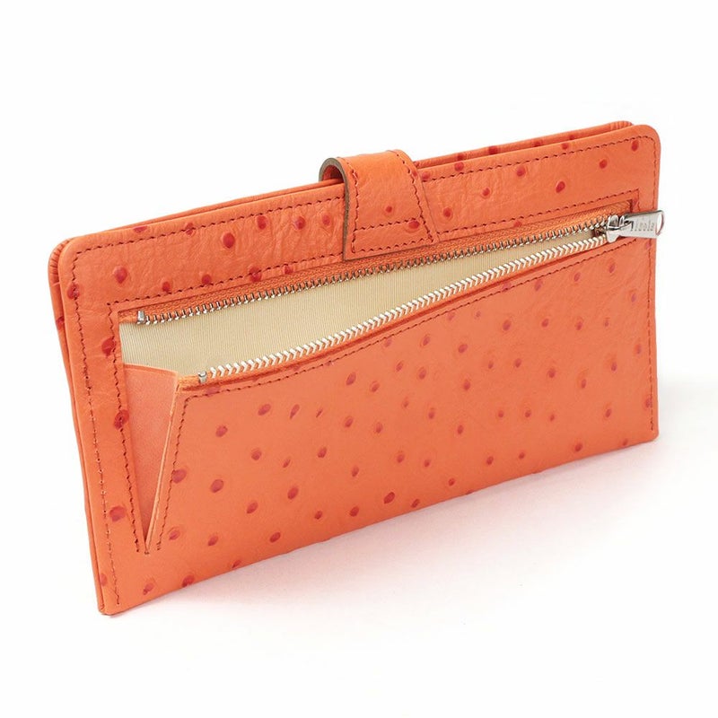 オースト_マヨルカ_背面