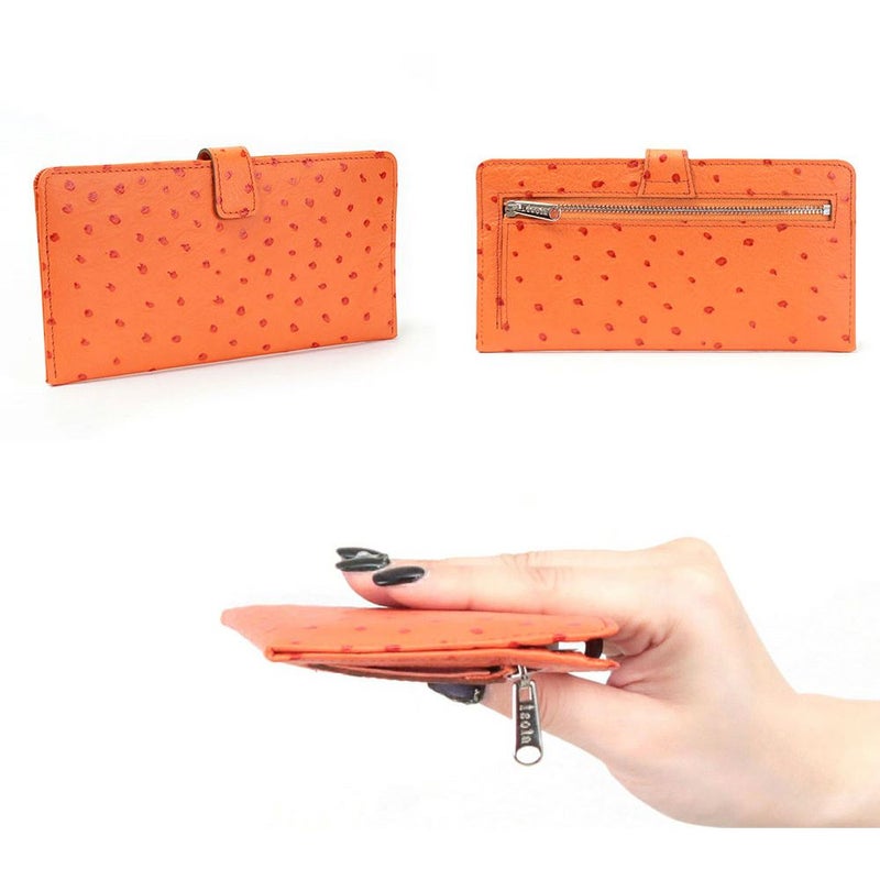 オースト_マヨルカ_詳細