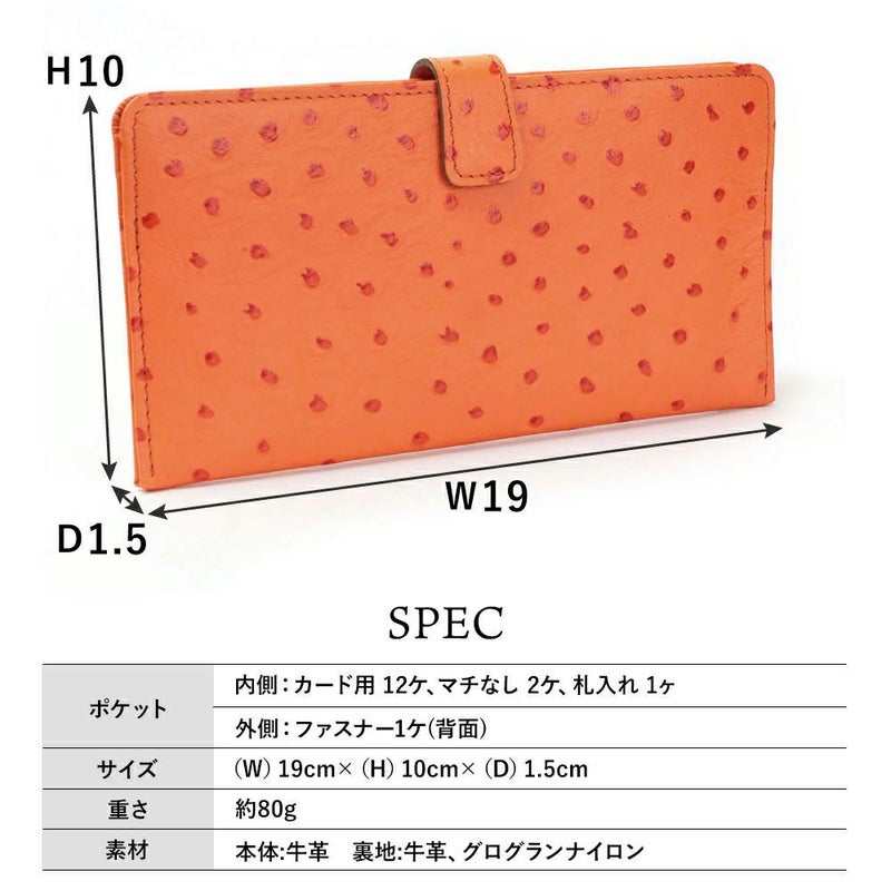 オースト_マヨルカ_サイズ