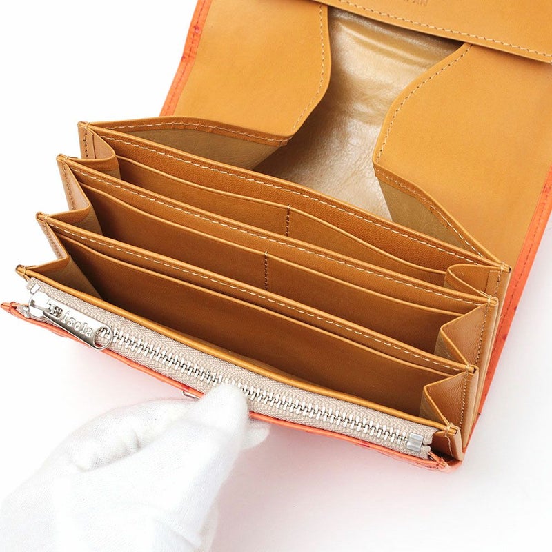 オースト_コルシカ_内側