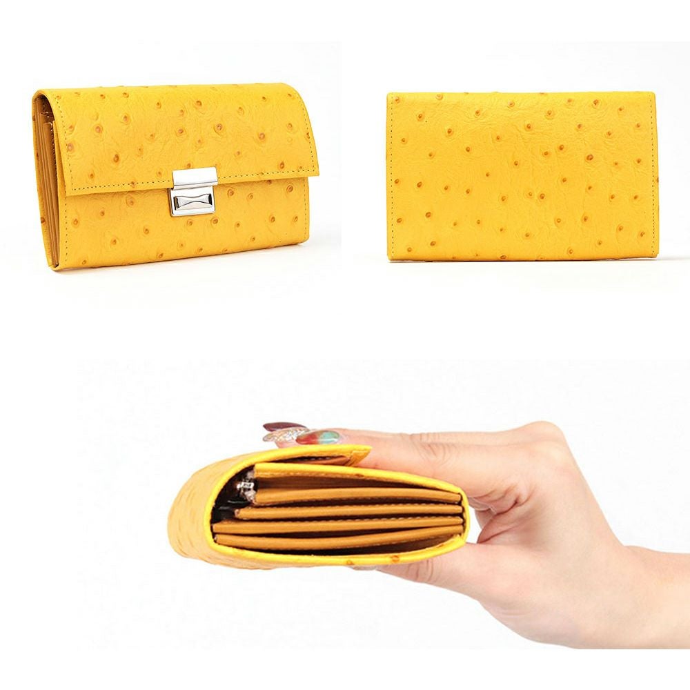 オースト_コルシカ詳細