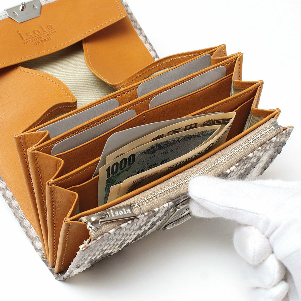 マットパイソン_コルシカ_内側