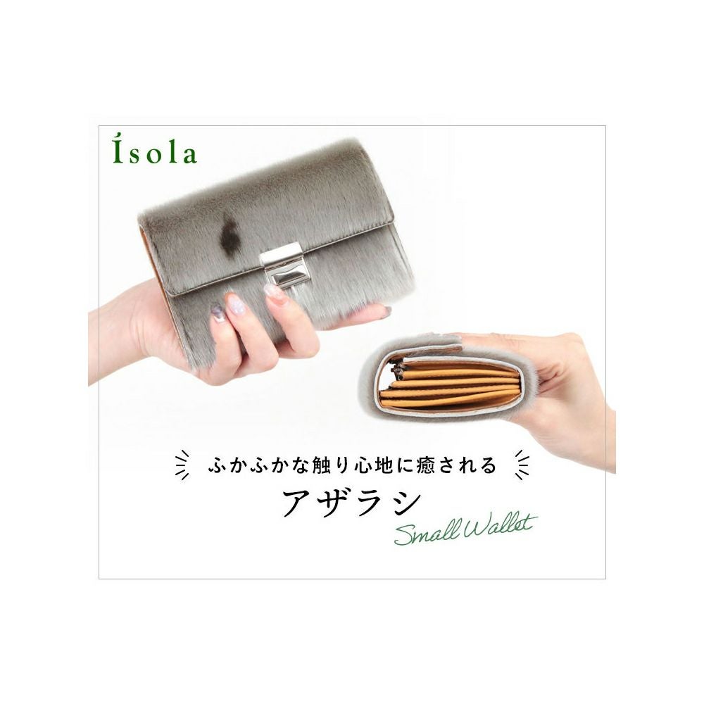 アザラシ_コルシカ_メイン