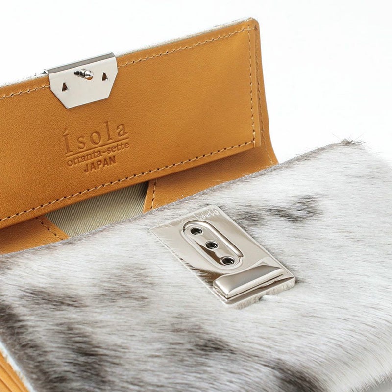 アザラシ_コルシカ_内側