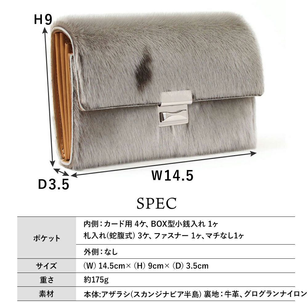 アザラシ_コルシカ_サイズ