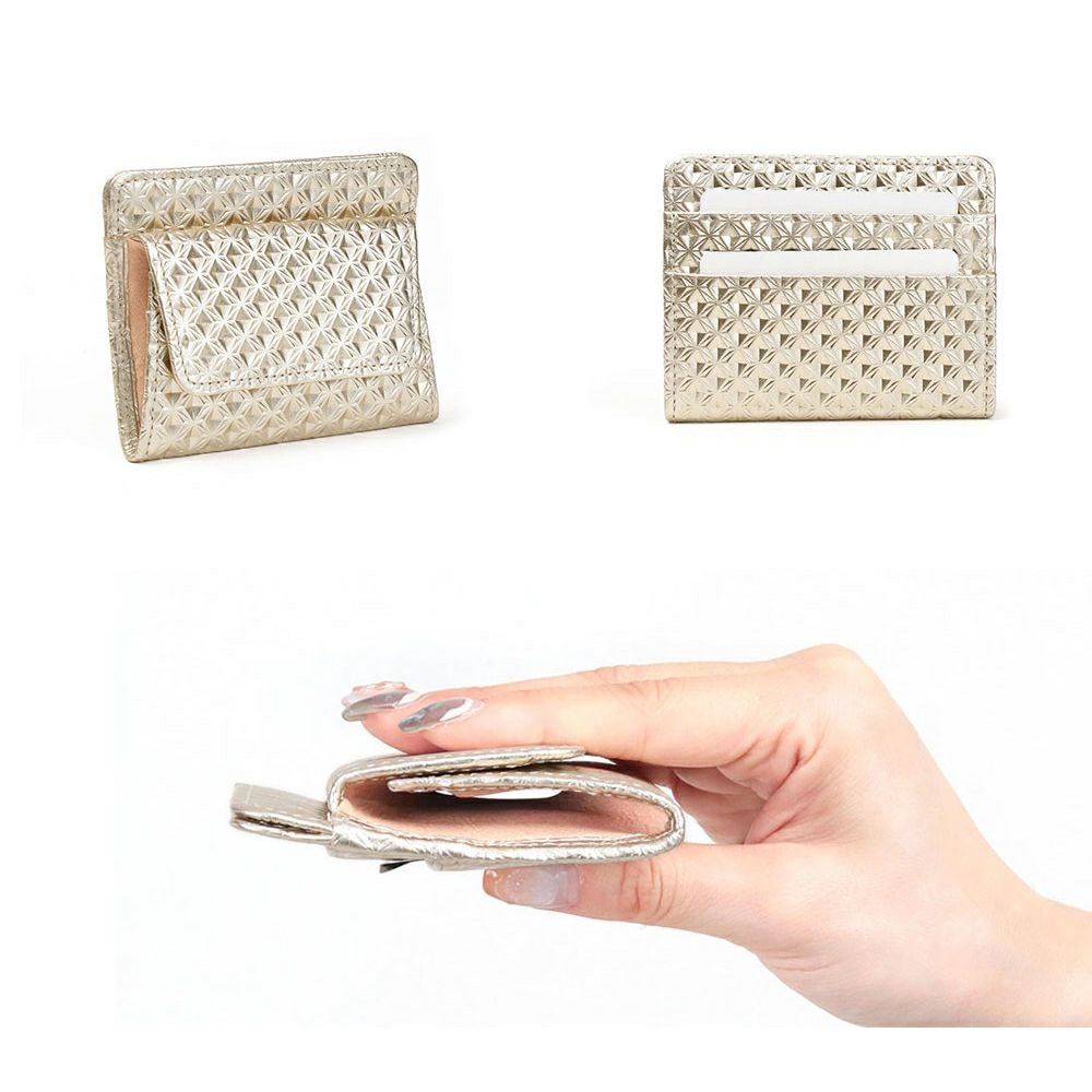 イスキア_薄札入れ_ラバトスパイダー_詳細