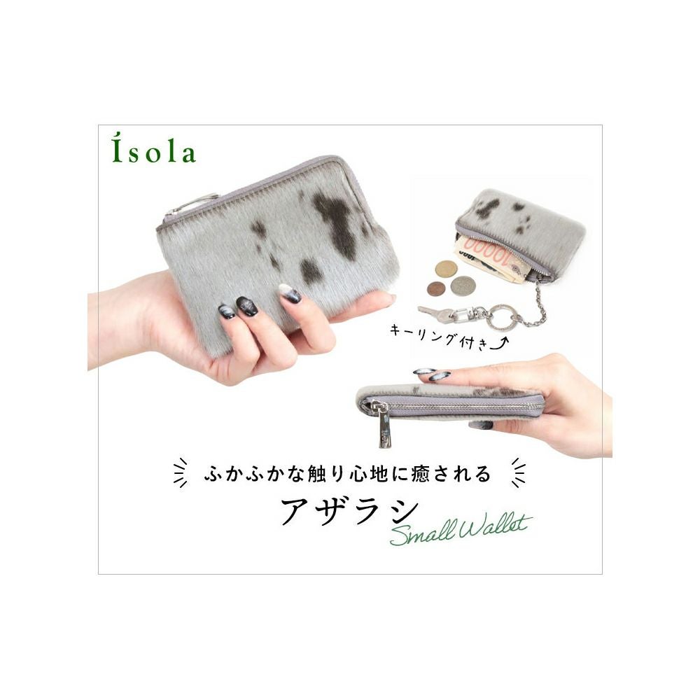 アザラシ＿キーウェスト＿メイン