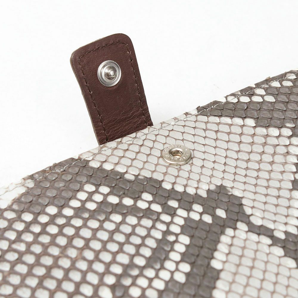 マットパイソン_マヨルカ_内側