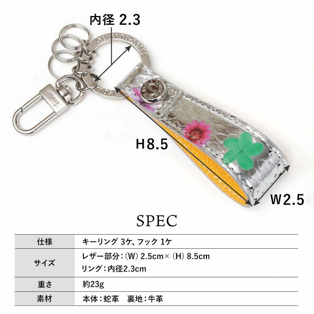 タカロア＿キーリング＿サイズ