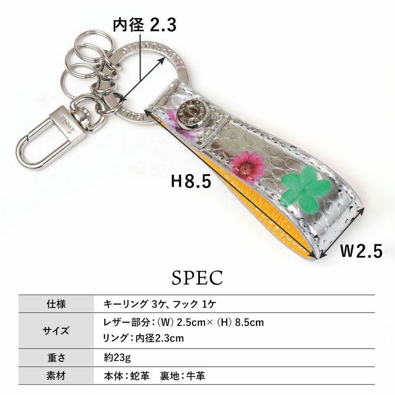 タカロア＿キーリング＿サイズ