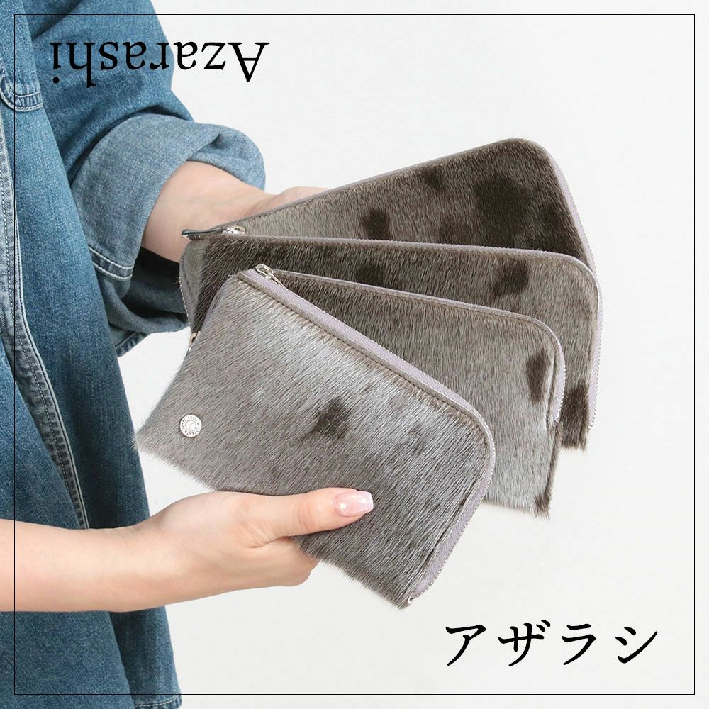 アザラシ＿イメージ画像