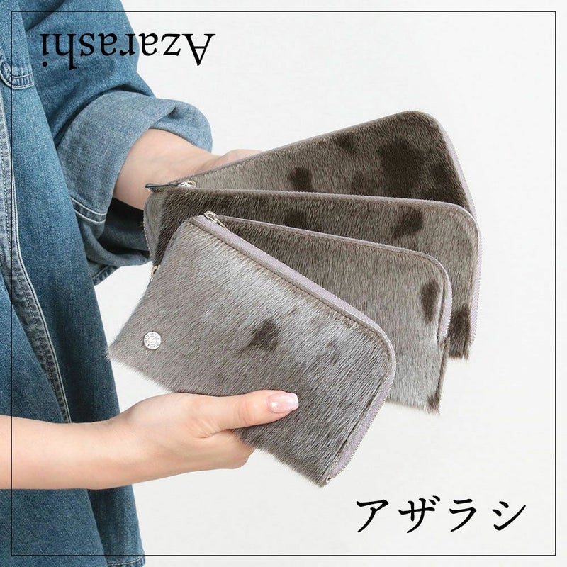 アザラシ＿イメージ画像